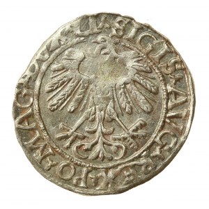 Zygmunt II August, Półgrosz 1558, Wilno - LI/LITVA (926)