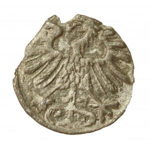 Zygmunt II August, Denar 1557, Wilno (930)