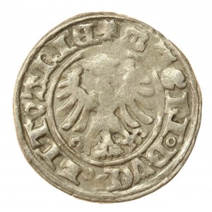 Aleksander Jagiellończyk, półgrosz, Wilno - gotyk (1062)