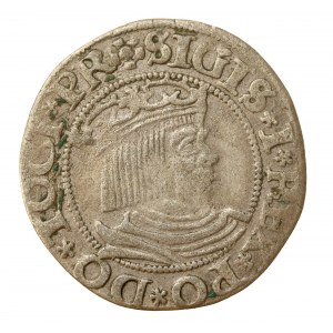 Zygmunt I Stary, grosz 1531, Gdańsk (1124)