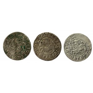 Zygmunt I Stary, zestaw półgroszy 1509-1514, Wilno. Razem 3 szt. (1231)
