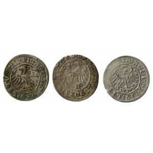 Zygmunt I Stary, zestaw półgroszy 1509-1514, Wilno. Razem 3 szt. (1231)