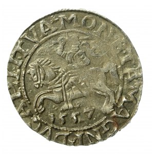 Zygmunt II August, Półgrosz 1557, Wilno (934)