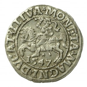 Zygmunt II August, Półgrosz 1547, Wilno - LI/LITVA (937)