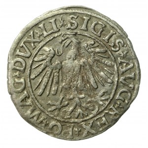 Zygmunt II August, Półgrosz 1547, Wilno - LI/LITVA (937)