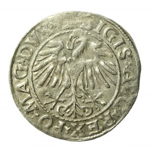 Zygmunt II August, Półgrosz 1548, Wilno - LI/LITVA (950)