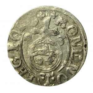 Zygmunt III Waza, Półtorak 1623, Bydgoszcz. Otwarty Sas. Rzadki. F3 (1203)