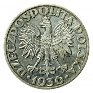 II RP, 5 złotych 1936, Żaglowiec (323)