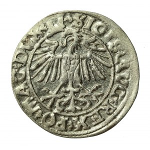 Zygmunt II August, Półgrosz 1549, Wilno - LI/LITVA (379)