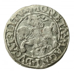 Zygmunt II August, Półgrosz 1559, Wilno - L/LITV (380)
