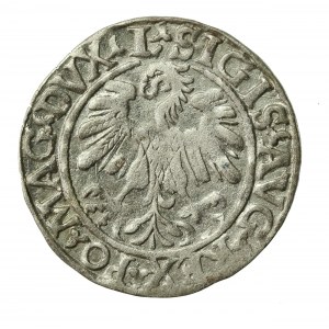 Zygmunt II August, Półgrosz 1559, Wilno - L/LITV (380)