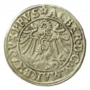 Prusy Książęce, Albrecht Hohenzollern, Grosz 1534, Królewiec (386)