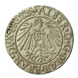 Prusy Książęce, Albrecht Hohenzollern, Grosz 1541, Królewiec (390)