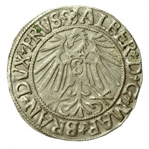 Prusy Książęce, Albrecht Hohenzollern, Grosz 1543, Królewiec (392)