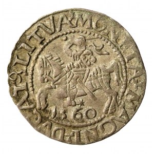 Zygmunt II August, Półgrosz 1560, Wilno - ex Ksawery Segna (447)