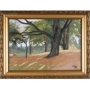 Soter August JAXA-MAŁACHOWSKI (1867-1952), Pejzaż z drzewami (1921)