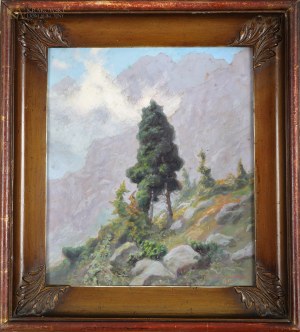 Zefiryn ĆWIKLIŃSKI (1871-1930), 