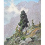 Zefiryn ĆWIKLIŃSKI (1871-1930), Limba w Tatrach (1929)