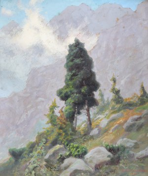 Zefiryn ĆWIKLIŃSKI (1871-1930), 