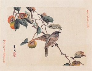 Matsumura Keibun (1779 - 1843, Kioto), Ptak i persymona, Osaka, 1892