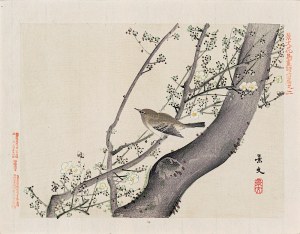 Matsumura Keibun (1779 - 1843, Kioto), Ptak na kwitnącej jabłoni, Osaka, 1892