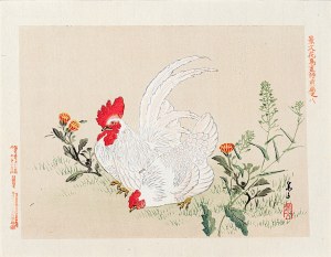 Matsumura Keibun (1779 - 1843, Kyōto), Biały kogut, Osaka, 1892