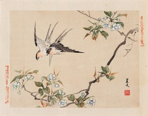 Matsumura Keibun (1779 - 1843, Kyōto), Jaskółki i kwitnąca wiśnia, Osaka, 1892