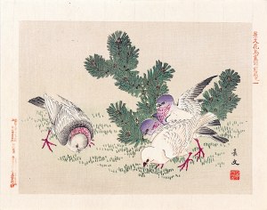 Matsumura Keibun (1779 - 1843, Kyōto), Gołębie, Osaka, 1892