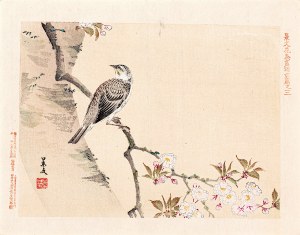 Matsumura Keibun (1779 - 1843, Kyōto), Ptak i gałązka kwitnącej wiśni, Osaka, 1892