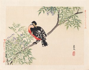 Matsumura Keibun (1779 - 1843, Kyōto), Dzięcioł na gałęzi, Osaka, 1892