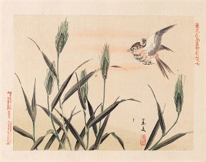 Matsumura Keibun (1779 - 1843, Kyōto), Ptak w zbożu, Osaka, 1892