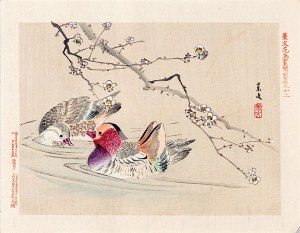 Matsumura Keibun (1779 - 1843, Kyōto), Para kaczek, Osaka, 1892
