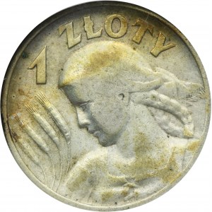 Kobieta i kłosy, 1 złoty Londyn 1925 - kropka po dacie - GCN XF40