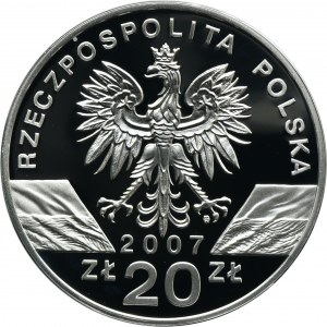 20 złotych 2007 Foka Szara