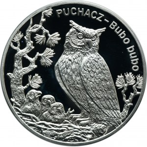 20 złotych 2005 Puchacz
