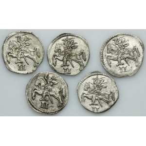 Lot, Sigismund II August, 2 Denarius Vilnius 1570 (5 pcs.)