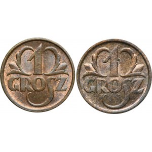 Zestaw, 1 grosz 1934-1936 (2 szt.)