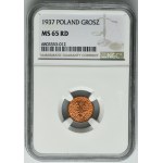 1 grosz 1937 - NGC MS65 RD