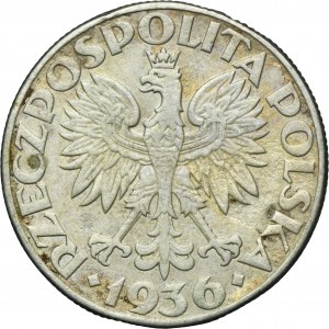 Żaglowiec, 5 złotych 1936