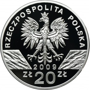 20 złotych 2009 Jaszczurka Zielona
