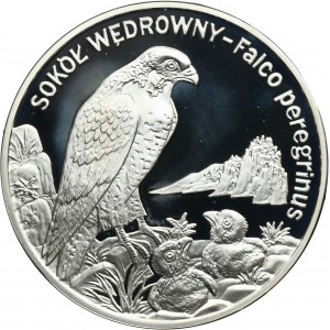 20 złotych 2008 Sokół