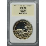 20 złotych 2002 Żółw błotny