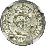 Duchy of Courland, Friedrich and Wilhelm Kettler, Schilling Mitau 1607 - NGC MS63 - RARE