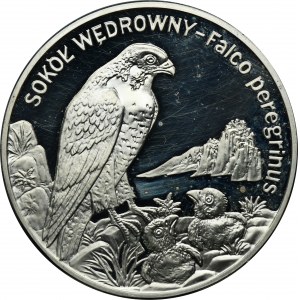 20 złotych 2008 Sokół
