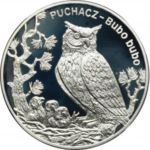 20 złotych 2005 Puchacz