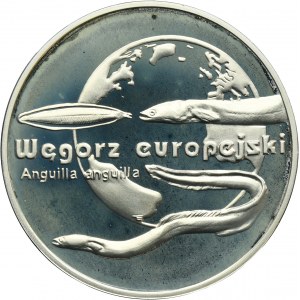 20 złotych 2003 Węgorz europejski