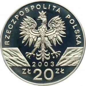 20 złotych 2003 Węgorz europejski