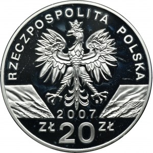 20 złotych 2007 Foka Szara