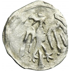 Silesia, County of Glatz, Georg von Podiebrad, Heller Glatz 1457-1465