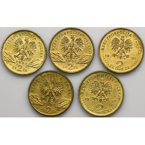 Zestaw, 2 złote GOLD NORDIC 1998-2001 (5 szt.)